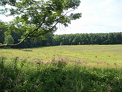 085 Longwood Gardens [2008 August 23]